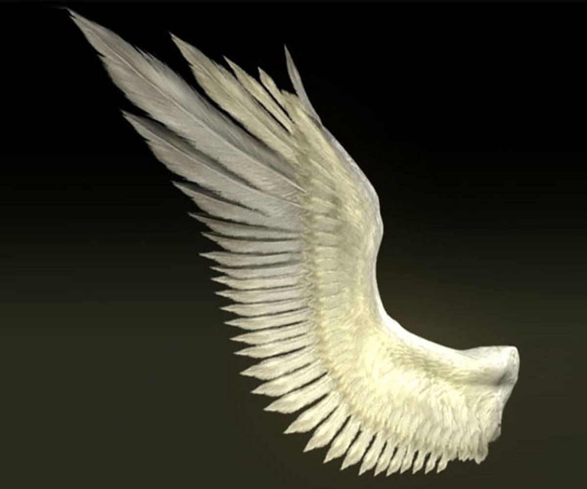 Крылья ангела Zbrush