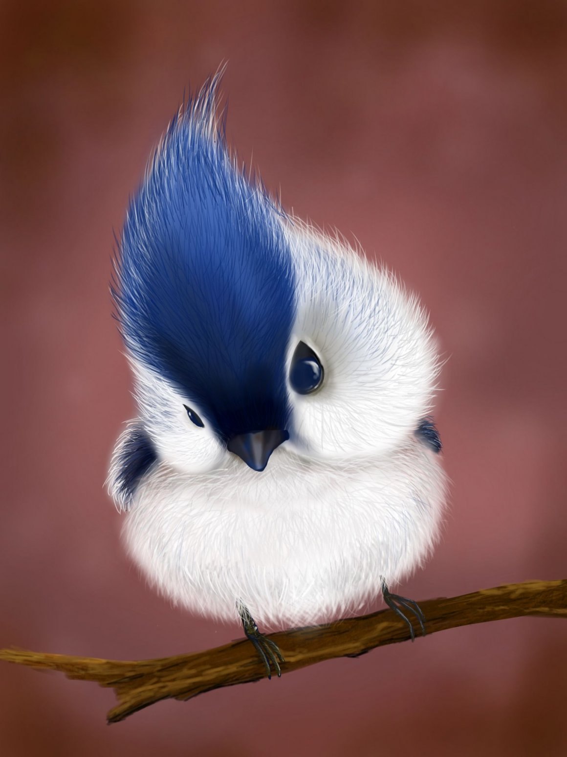 Милые птички - картинки и фото poknok.art