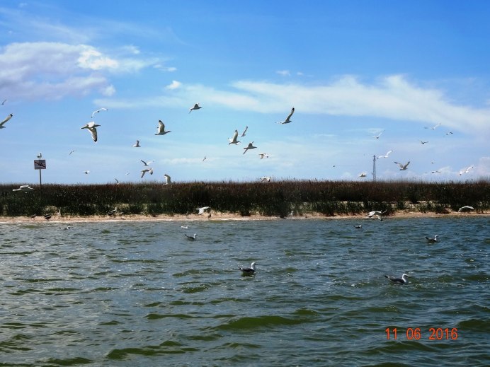 Пляж Чайка Азовское море