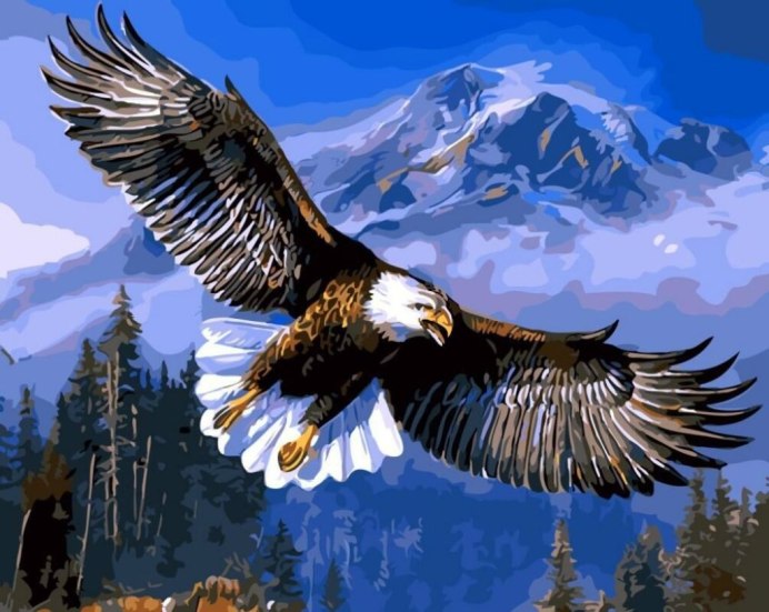 Лилия bald Eagle