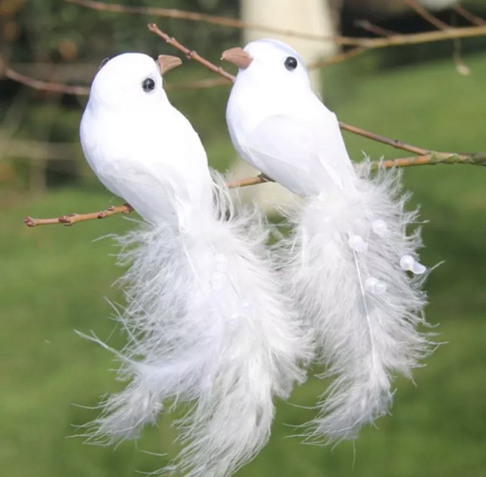 Белая птица