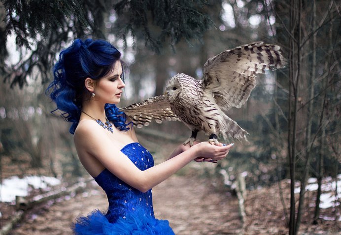 Птицы дерутся