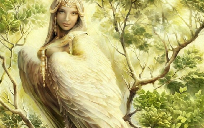 Птицы новой Британии