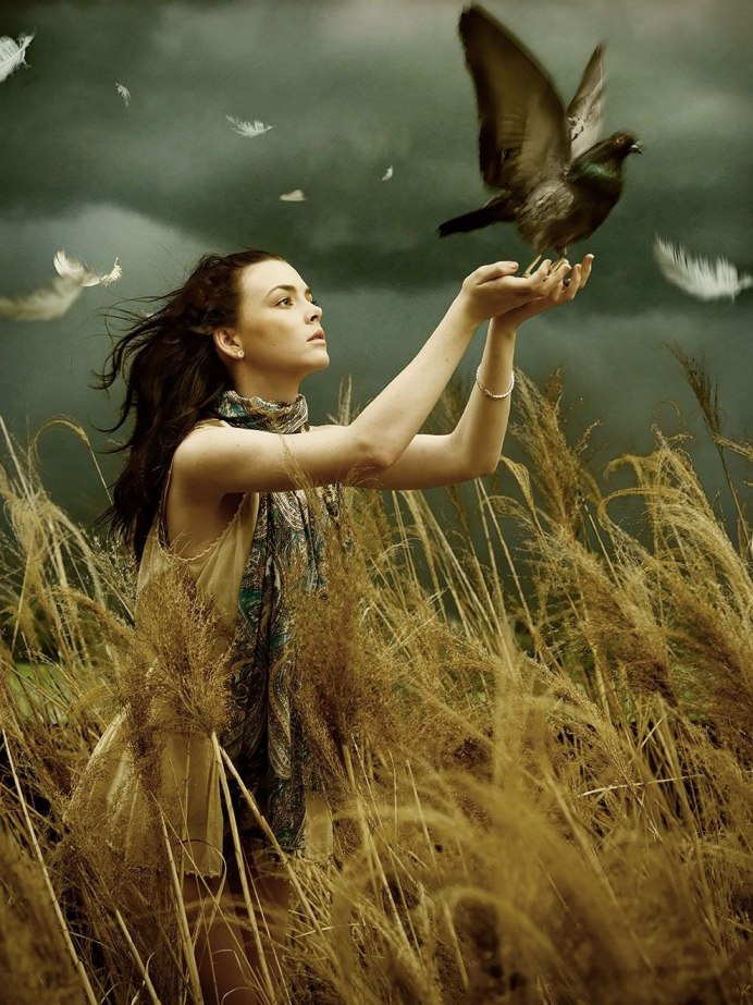 Художница Жозефина Уолл картины птица