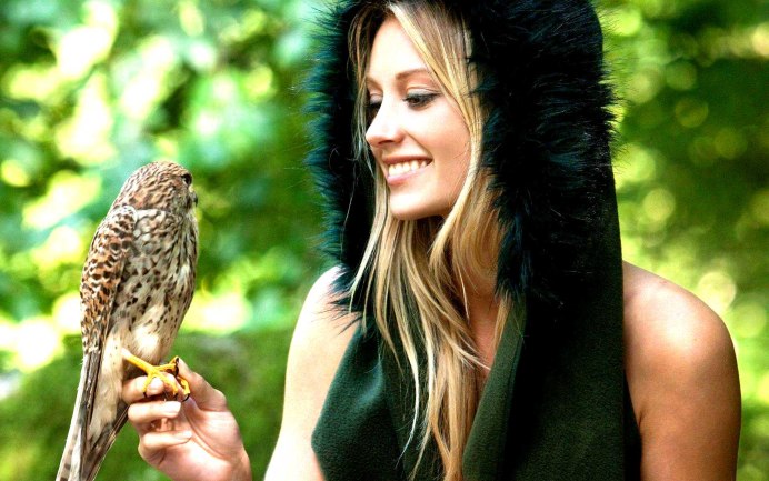 Колибри (подотряд)