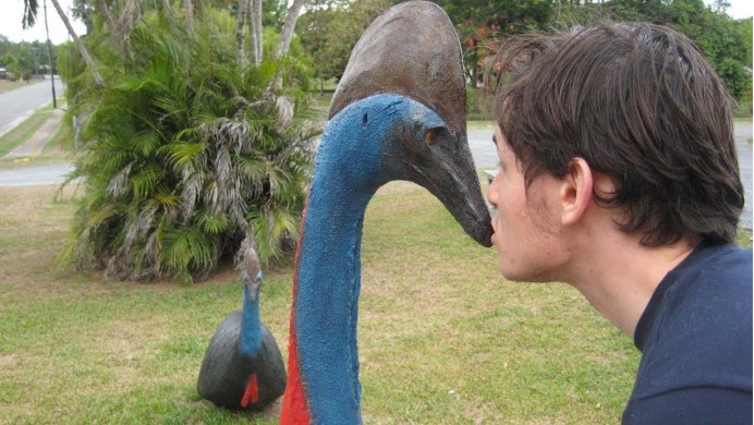 Южный казуар нападение