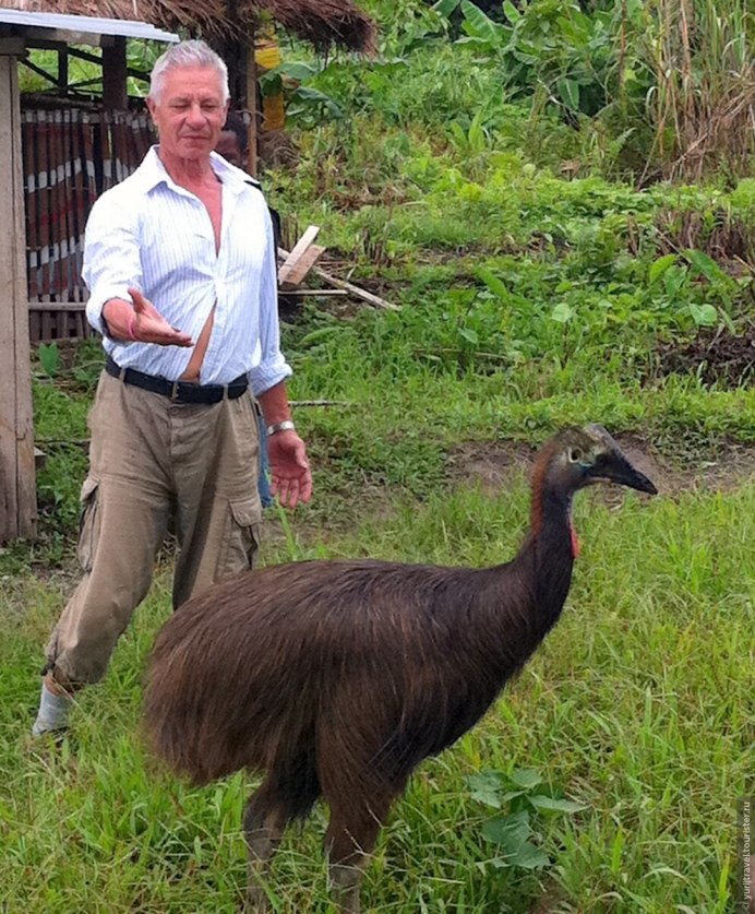 Казуар и человек