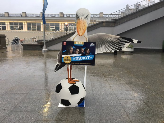 Баклан Санкт Петербург