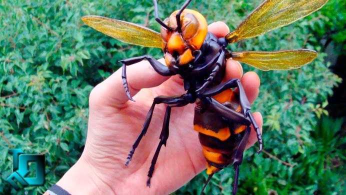 Vespa mandarinia Шершень