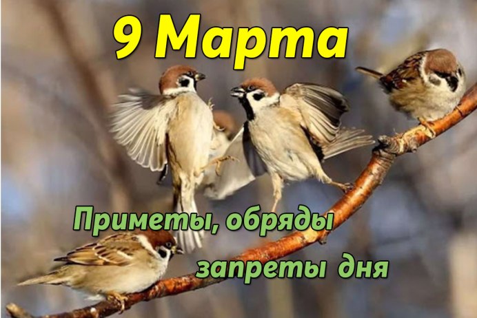 Три Воробьев