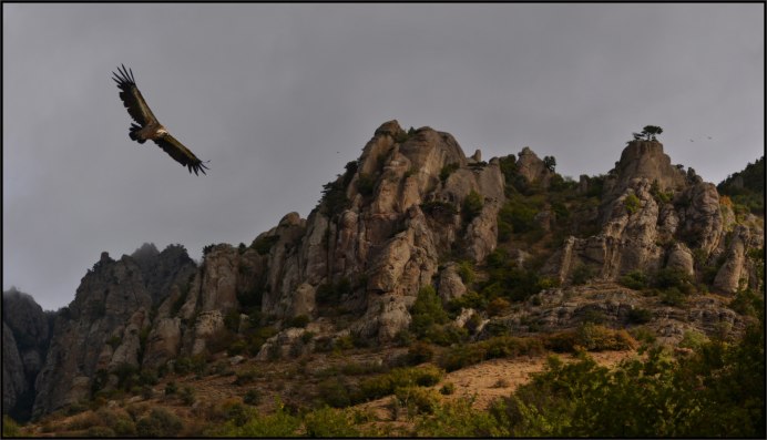 Ущелье Орлов Алушта