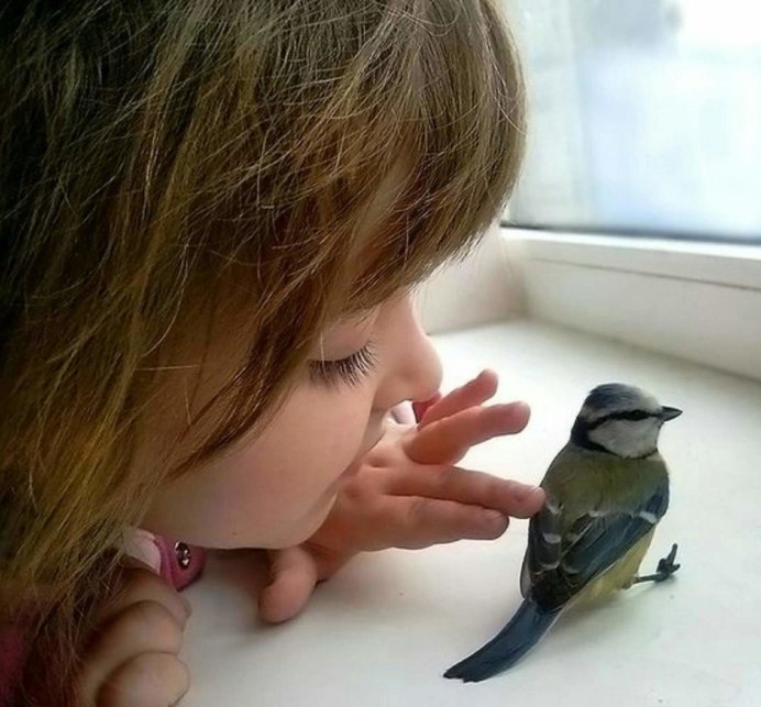 Воробей на руке