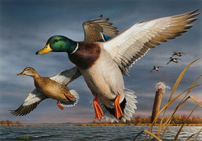 Joe Hautman художник
