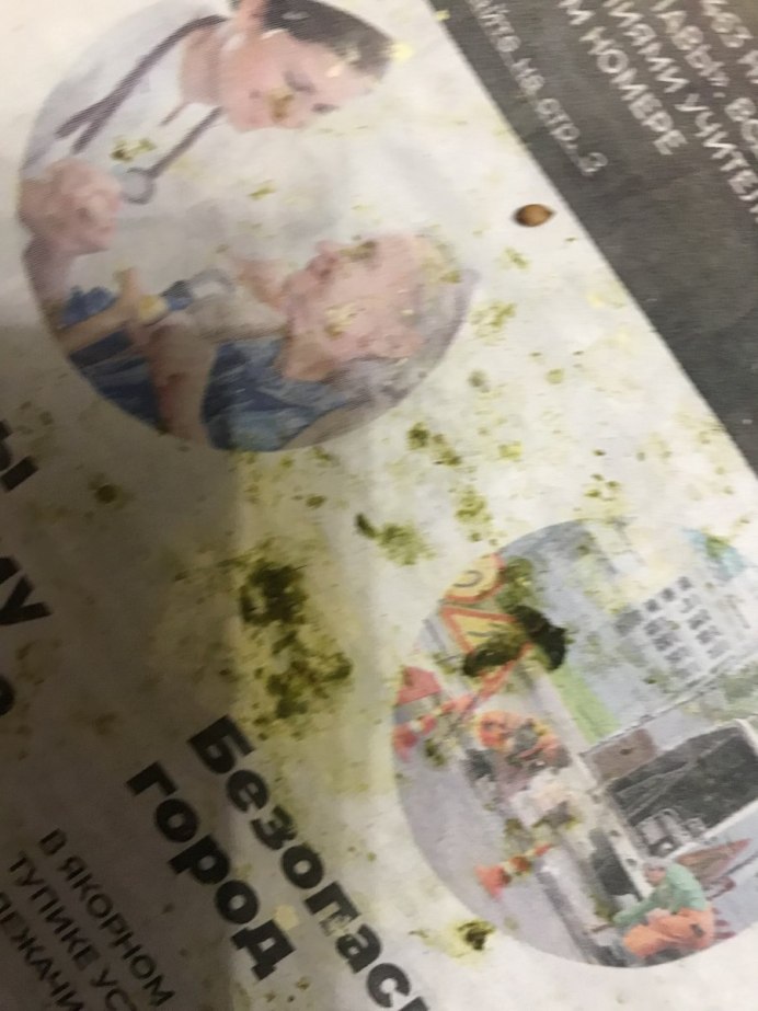 Кедровка птица Кемеровская область