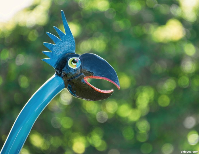 Странная птица ЛО