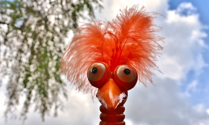 Непонятная птичка