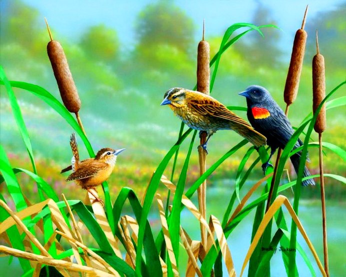 Художник Bradley Jackson