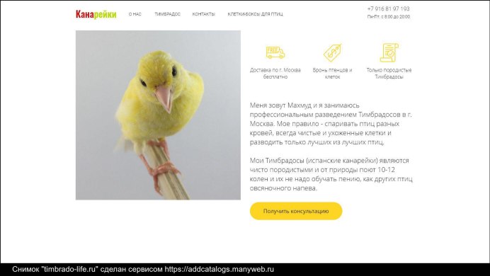 Тимбрадос канарейка прослушать