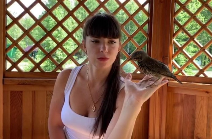 Птенец выпал из гнезда насмерть