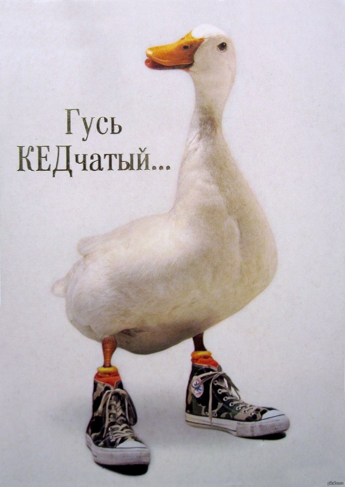 Крутой Гусь