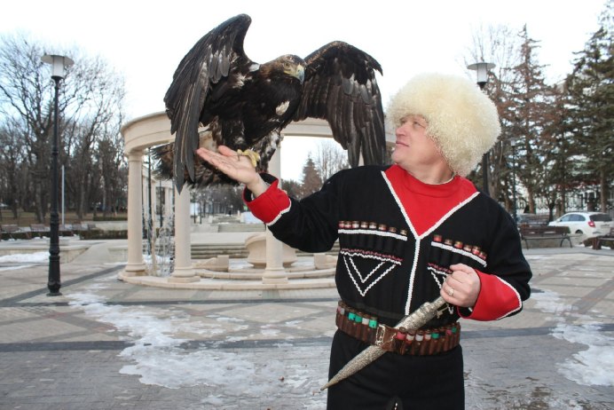 Сойка хохлатая