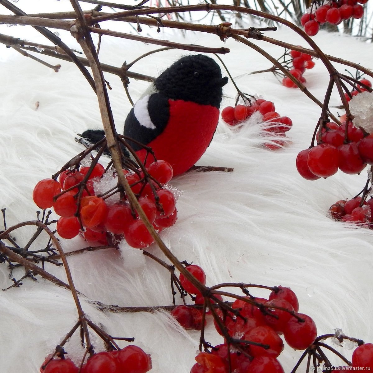 Библиокейс «Зимующие птицы нашего края. Снегири» (занятие в студии «Рукодельные фантазии»)