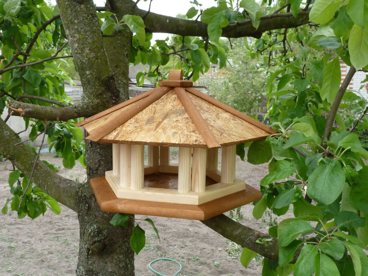 Сделать кормушку из дерева для птиц своими руками (48 фото)
