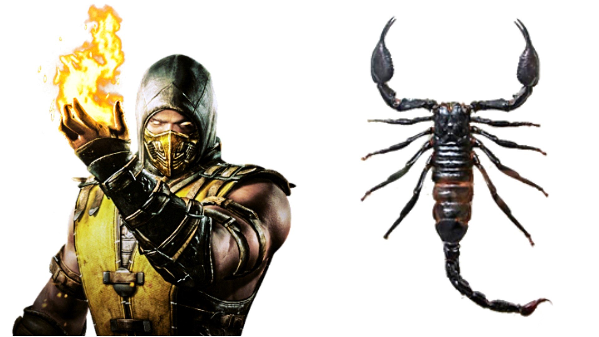 Scorpion RUBALM