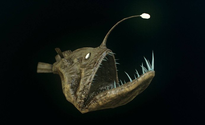 Linophryne arborifera