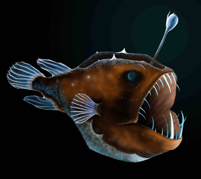 Морской черт удильщик