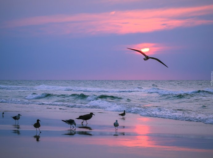 Журавлиный Клин картина