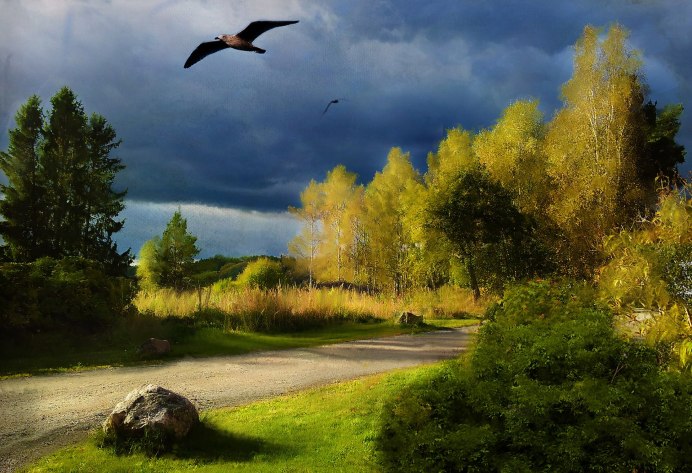 Пейзаж с птицами