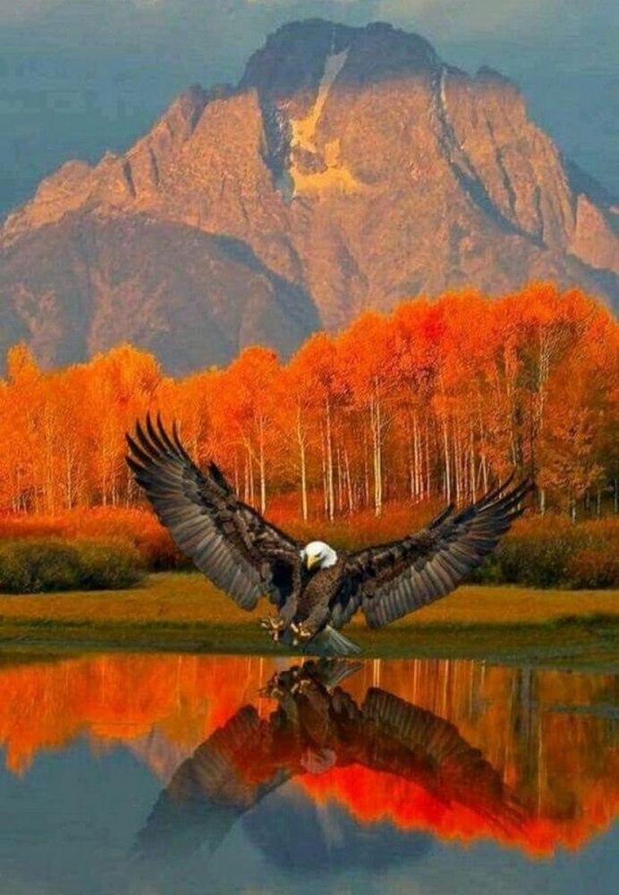 Весенняя природа