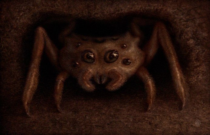 Sicarius Terrosus