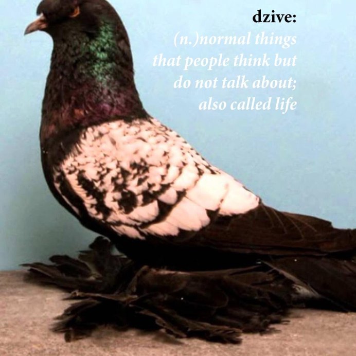 Иранские голуби двухчубые