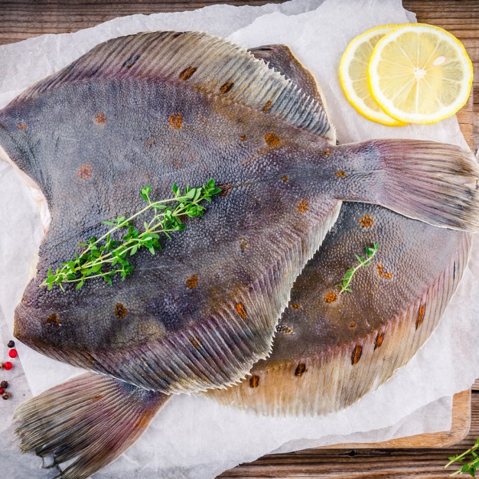 Морская камбала