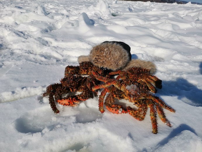Настоящего краба