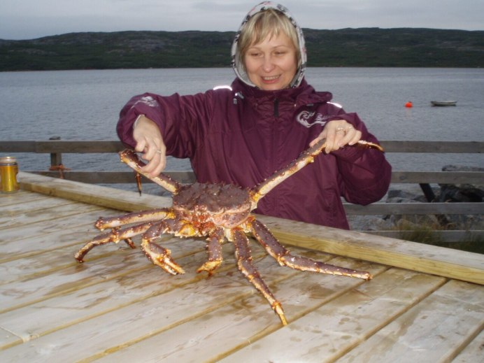 Sapphire Crab