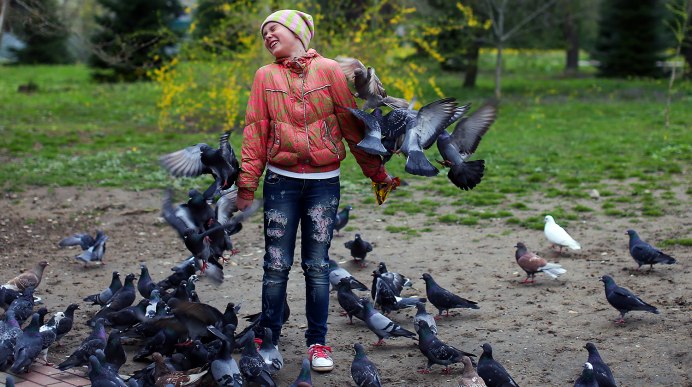 Много голубей