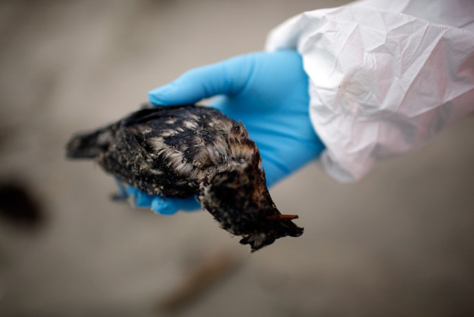 Мусор в окружающей среде