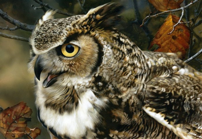 Голова Совы