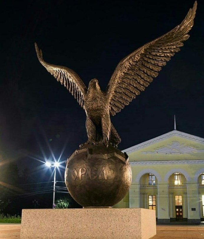 Белоголовый ястреб падальщик