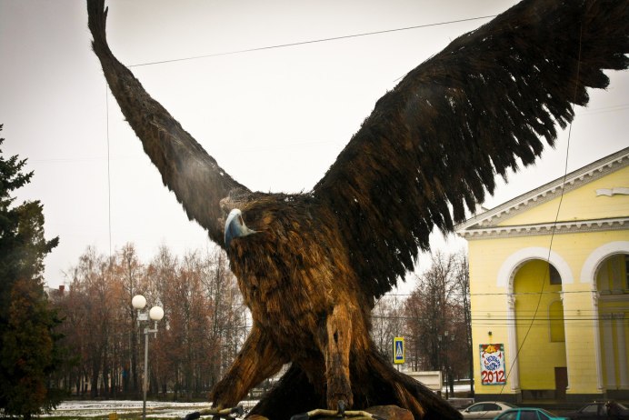 Белый Орел птица