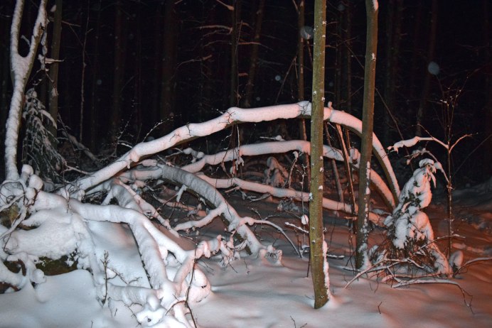 Паук снежок