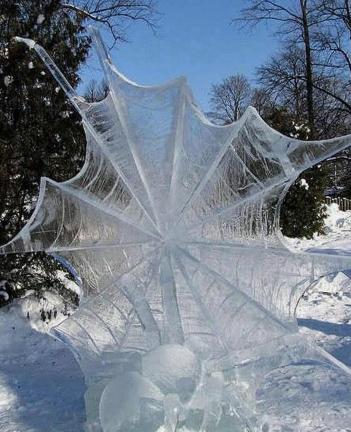 Насекомые на снегу