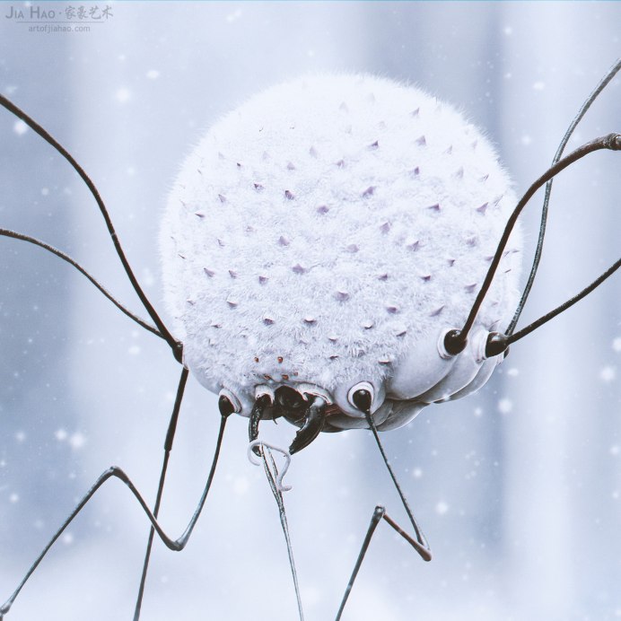 Паук снежок