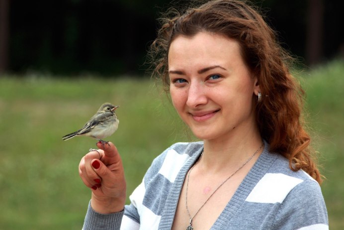 Ржанкообразные милые фотографии