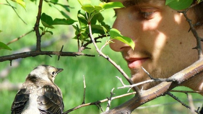 Птички в Сочи