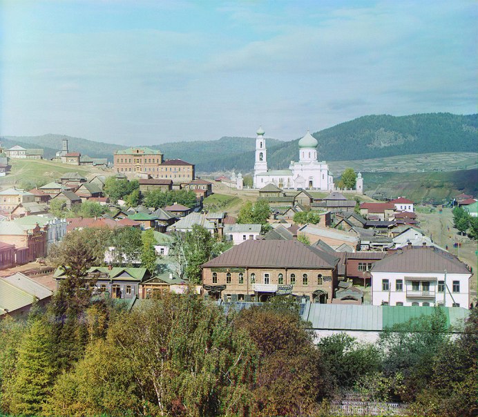 Сибирская купальница азиатская