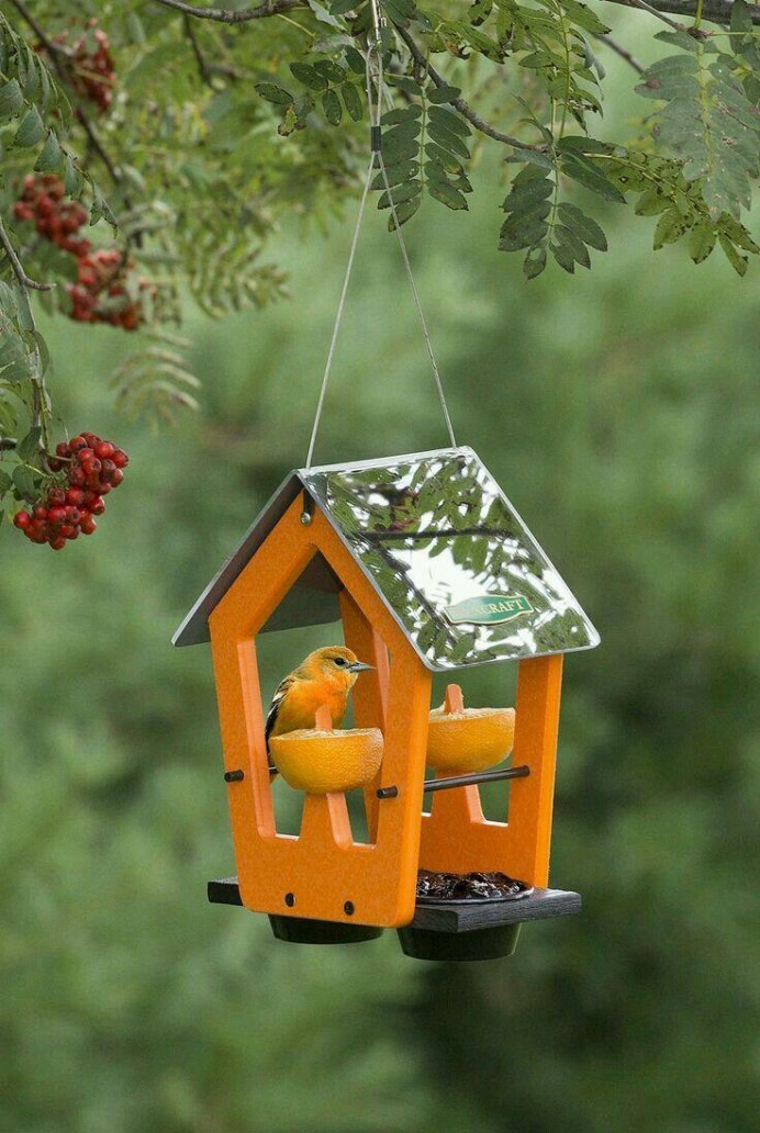 Кормушка для птиц